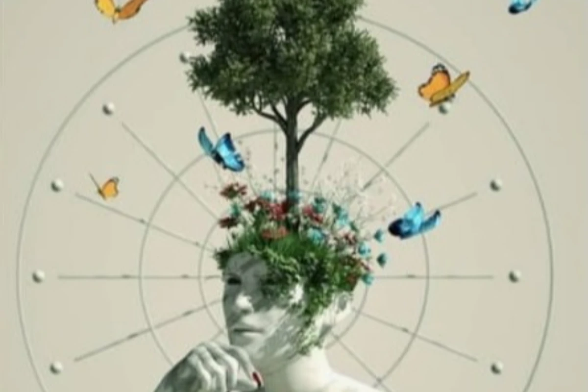 Gelişimsel Örüntüler: Çocuğunuzu Daha İyi Anlamanı blog resmi